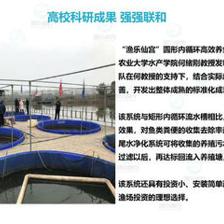 智慧農研引領未來 重慶工廠化高密度養魚的創新實踐